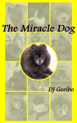 The Miracle Dog